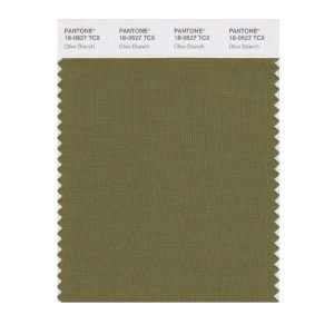  SMART 18 0527X Color Swatch Card, Olive Branch: Home Improvement