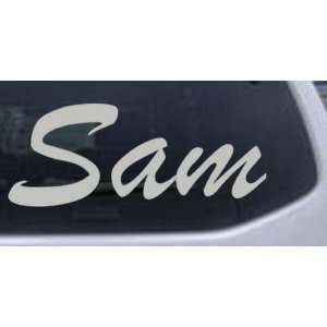  Sam Car Window Wall Laptop Decal Sticker    Silver 48in X 