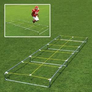 Fisher Agility Master 30 High Step Trainer:  Sports 