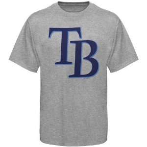  Majestic Tampa Bay Rays Ash Official Logo T shirt: Sports 
