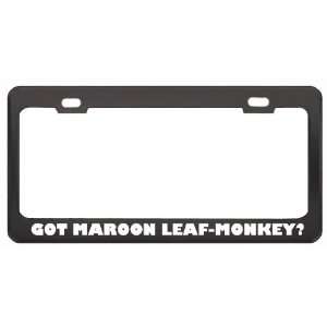 Got Maroon Leaf Monkey? Animals Pets Black Metal License Plate Frame 