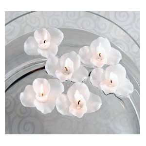  White Orchid Floating Candle Set of 6