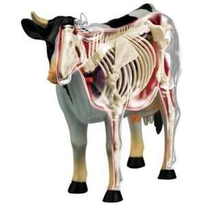 3D Cow Anatomy Model Puzzle: Toys & Games