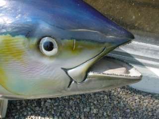 HUGE 60 TAXIDERMY TROPHY FISH Bluefin Yellow TUNA WALLMOUNT Salt 