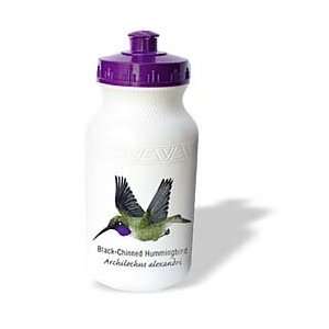 Boehm Graphics Hummingbird   Black Chinned Hummingbird   Water Bottles