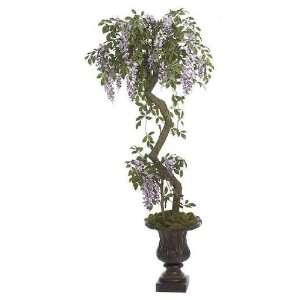  Autograph Foliages W 50110   5 Foot Wisteria Topiary 