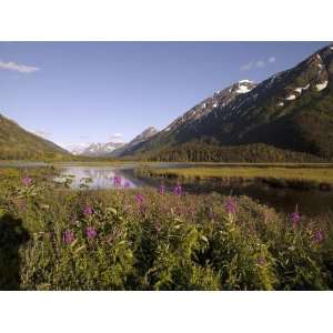 Landscape Poster   Scenic view from the Seward Highway in the Chugach 