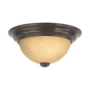  Dolan Designs 5381 20 1 Light Flushmount, Antique Bronze 