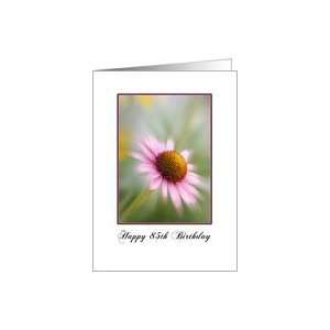  85th Happy Birthday Card, Pink Cone Flower Card Toys 