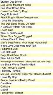Humorous Paw Print Dogs Rule Car / Fridge Magnet New!  