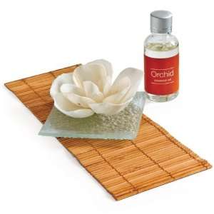  Camellia Sola Flower Diffuser: Health & Personal Care