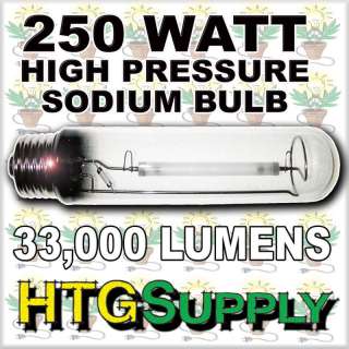 ULTIMATE 250 watt HPS & MH GROW LIGHT SYSTEM 250w w sun  