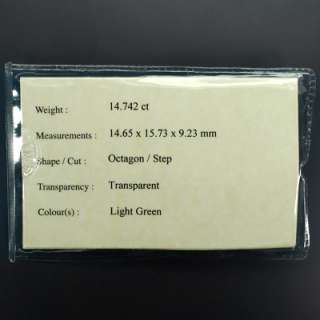 Certified 27.31ct 2pcs Pair Octagon Natural Gem Light Green Emerald 