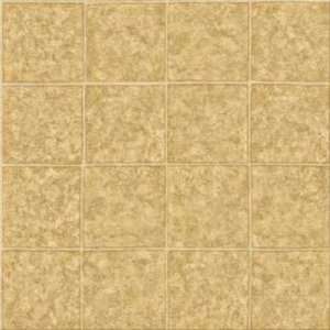   Pacesetter   Mirage 6 Earthen Beige Vinyl Flooring