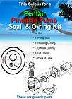 PENTAIR PACFAB PINNACLE POOL PUMP O RING / SEAL KIT