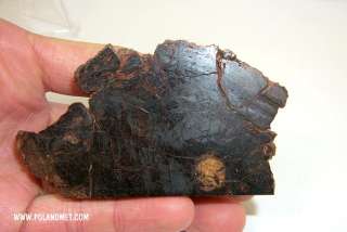 Meteorite WOLF CREEK [Iron IIIAB] endpiece 135g  