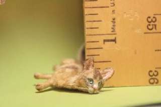 Miniature Dollhouse Cat OOAK 112 woolytales  
