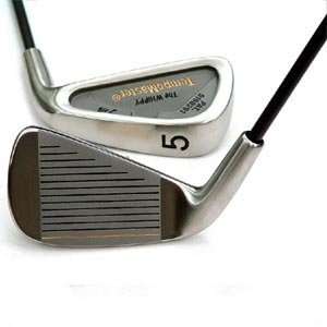  Whippy TempoMaster Flexible Shaft Golf Practice Iron, 5 