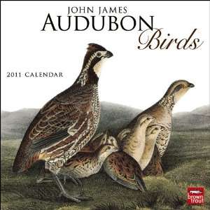   John James Audubon Birds 2011 Wall Calendar 12 X 12 Office Products