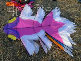 wholesale 5PCS goldfish kites/red /pink/gray/orange/blue/with flying 
