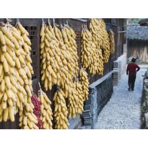  Corn Decorating a House in Langde Village, Guizhou 
