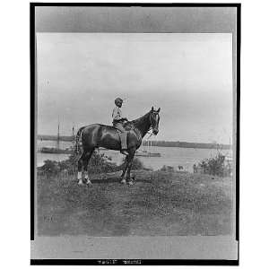  Gen. Rawlins horse taken at Cold Harbor,Va.