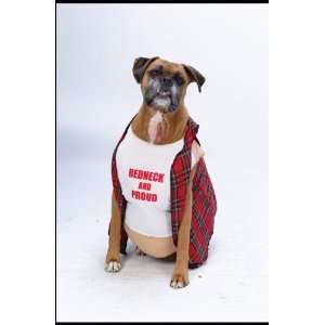  Big Dog Red Neck Pet Costume: Home & Kitchen
