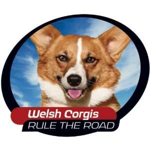  Welsh Corgi One Way Vision Window Covering Pet Tatz 