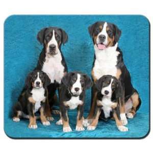  Greater Swiss Mountain Dog Mousepad: Office Products