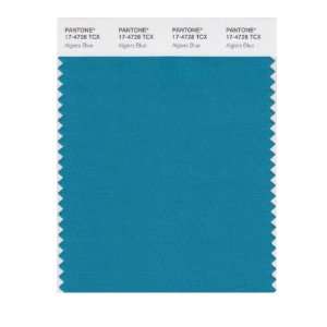   SMART 17 4728X Color Swatch Card, Algiers Blue: Home Improvement