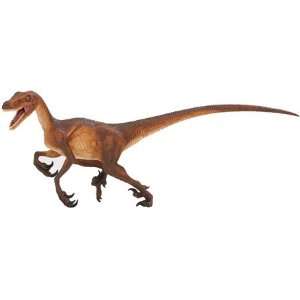  Velociraptor (Wild Safari) Toys & Games
