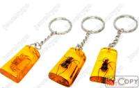 Wholesale Lots 24 Keychain amber resin Insect Keyring  