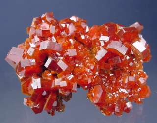 VERY FINE TOP COLLECTORS FIRE RED VANADINITE CRYSTAL CLUSTER  