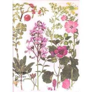   12 Wild Flowers Colour Plate by Barbara Everard. 