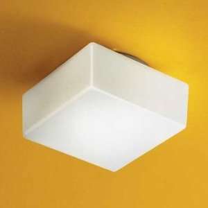  Bath and Lighting Collection Matrix Ceiling Fixture