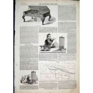  Dolce Pianoforte Animal Electricity Nepaul Map 1850