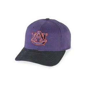  Auburn Tigers Low Profile Adjustable Cap: Sports 