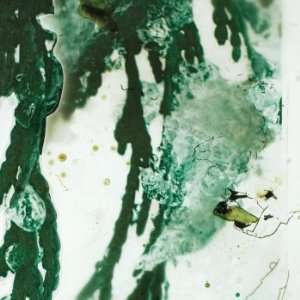  Iced Pine (Snow Painting series), Original Mixed Media 