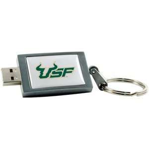   Bulls DataStick Keychain 2 GB USB 2.0 Flash Drive DSK2GB USF (Grey