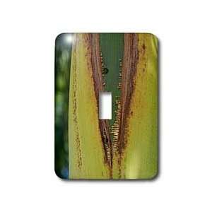 Florene Macro Nature   Palm Unzipped   Light Switch Covers 