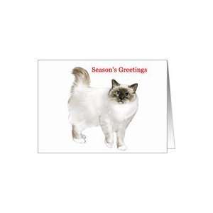  Birman   Animals   Cat   Pets   Christmas Card Health 
