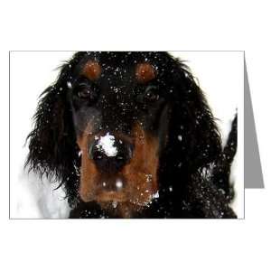 Gordon Setter Pup Fun in the Snow Greeting Cards Pets Greeting Cards 