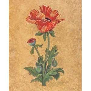  Oriental Poppy by Lee Jamieson. Size 8.00 X 10.00 Art 