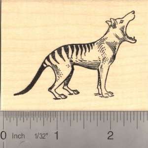  Tasmanian Tiger (Thylacine) Rubber Stamp: Arts, Crafts 