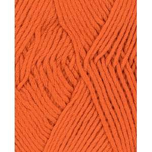    Berroco Comfort Yarn 9731 Kidz Orange: Arts, Crafts & Sewing