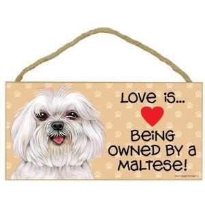  Love is . Being Owned by Maltese (puppy cut)   5 X 10 