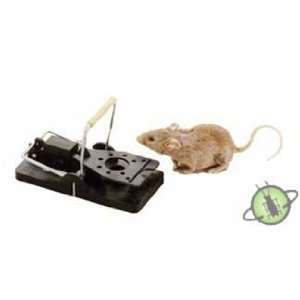  Snap E Mouse Trap 1 Trap KN1001 