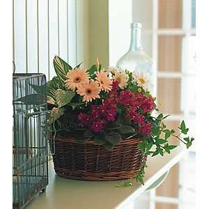  Traditional European Garden Basket   Same Day Delivery 