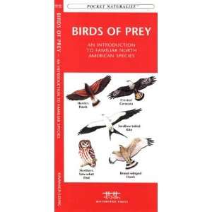   Folding Pocket Guide   Birds of Prey of North America 