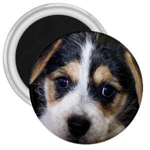  Jack Russell Puppy Dog 3in Magnet S0702 